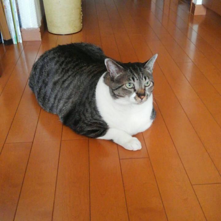 32efe4a1 002e 4e3c 9066 1854ec8d3534