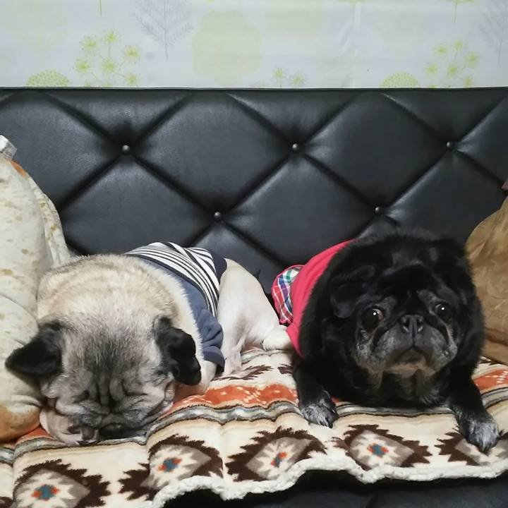 32f04c3f bd52 4019 b1a1 2d24cbd13614