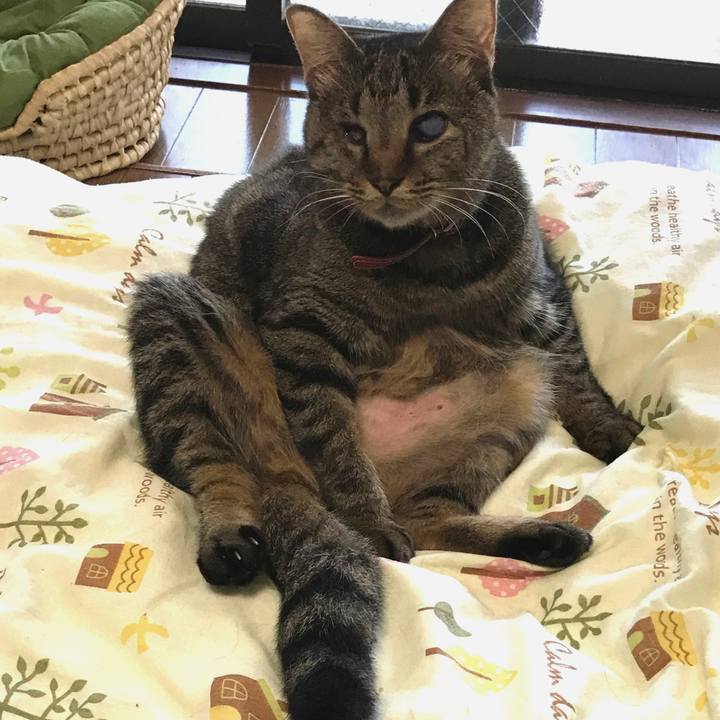 32f165e6 4292 4401 b64e 9685e468f80a