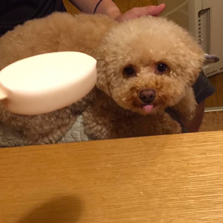 32f18b20 8cd6 490e 8e07 f32316f0a747