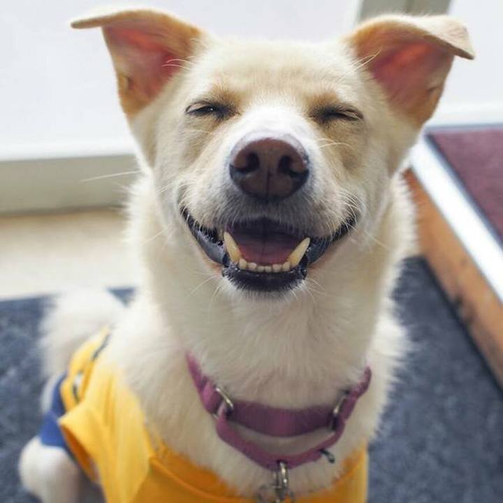 32f2478b 78a3 4bc8 b90c 46476d6e6354