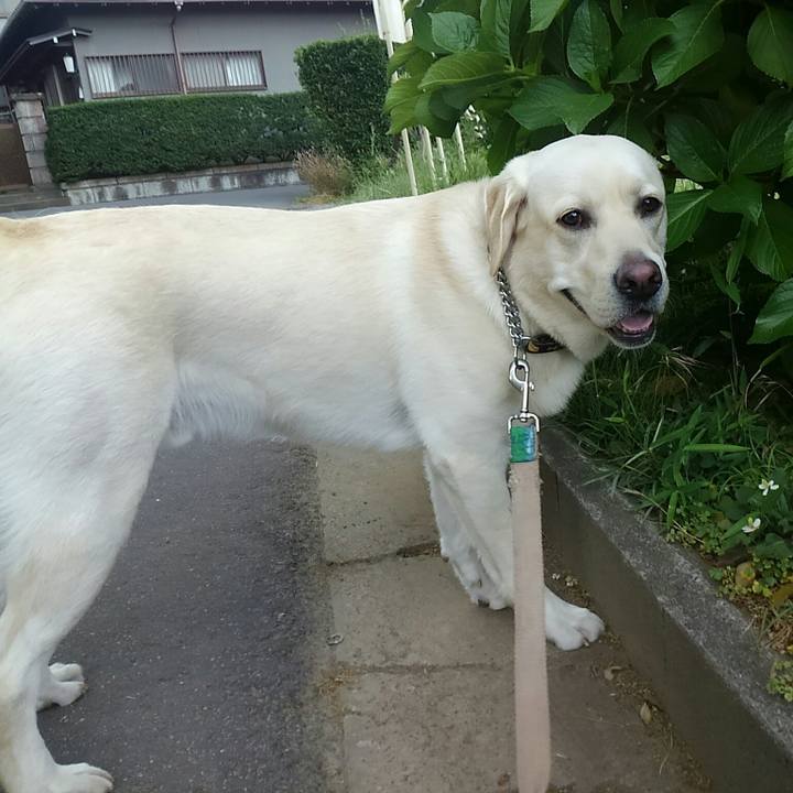 32f2cd4c 9abc 4191 bfa0 282d7af59401