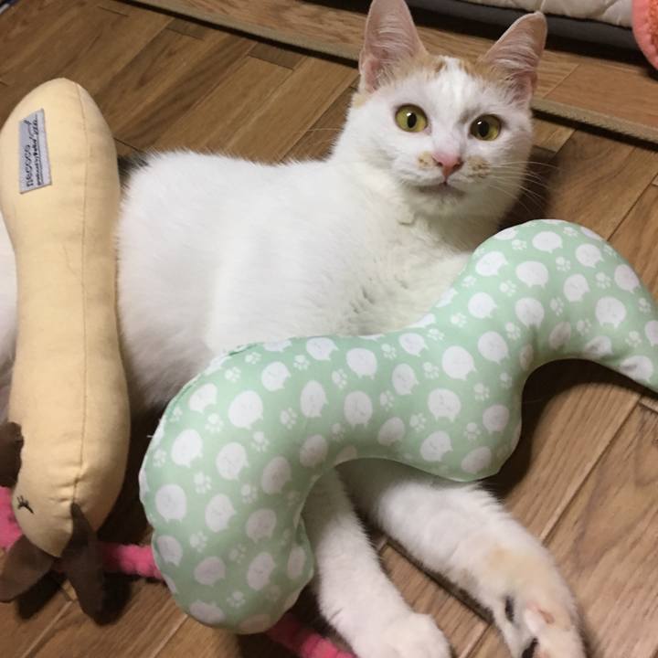 32f3a3e4 c112 45de af28 a673ba097134