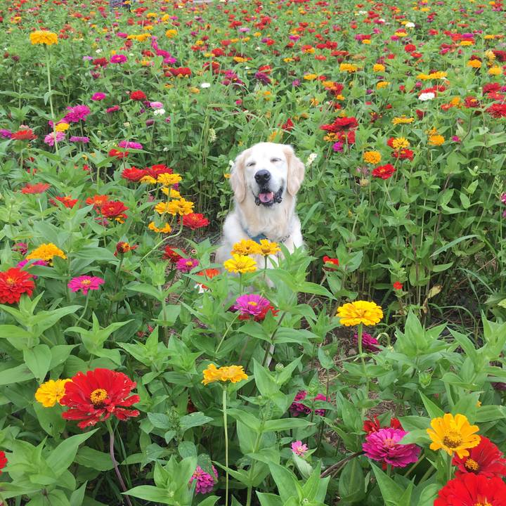 32f41d8a 0b08 40c7 9ff9 69fad7a673e0