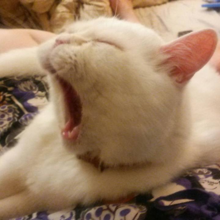 32f4375a 65a1 4519 bee9 27decf41c82d