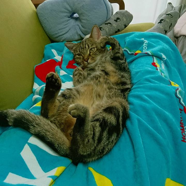 32f4e67f 4a90 4bb1 b2d3 f63251b32c91