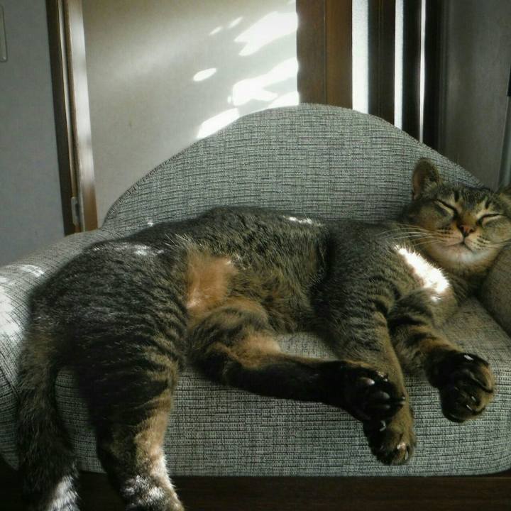 32f4f41c ba8f 495f a2ac bac28db9287a