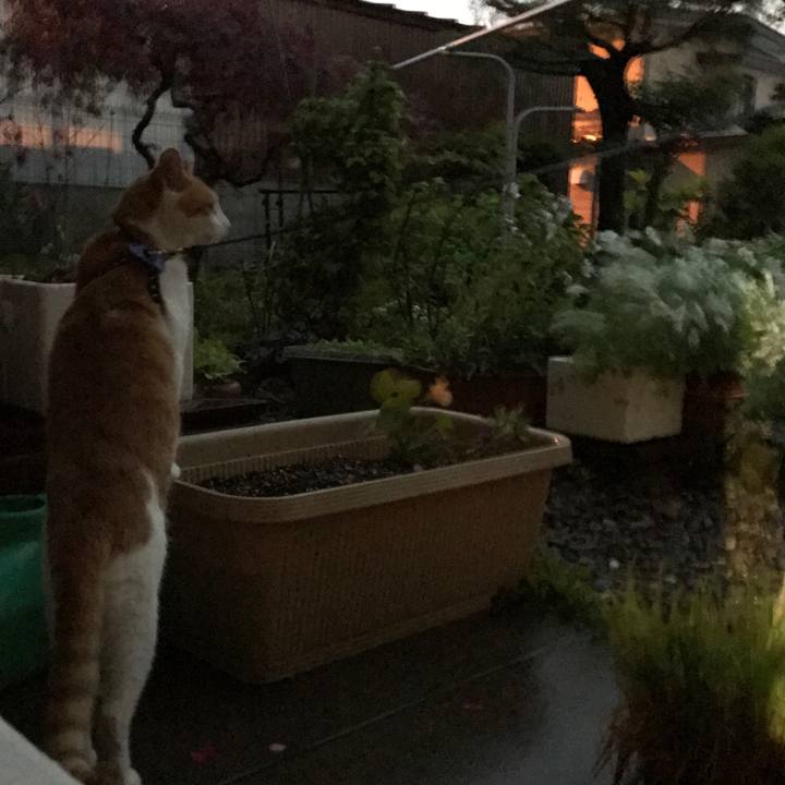 32f602a5 9af6 46ed a175 373c6a8d7e34