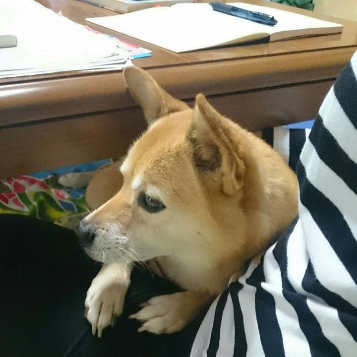 32f63d0b aaa7 4037 b21e ead6ef337a1c