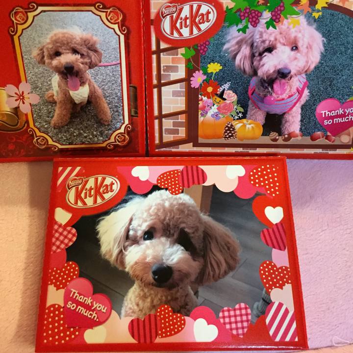 32f64cba 1144 4799 9d79 eff865f74523