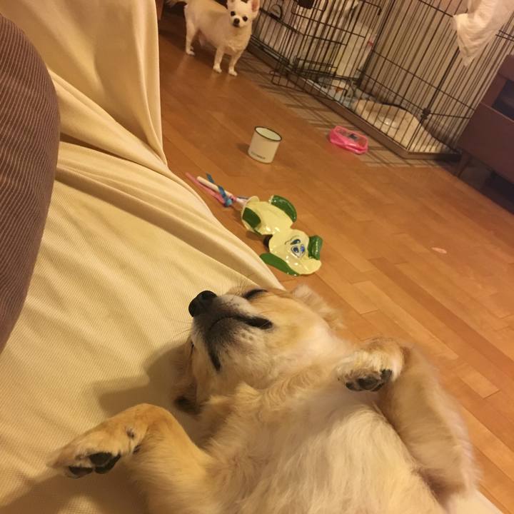 32f667e7 6067 4207 8dc4 08048e51b16a