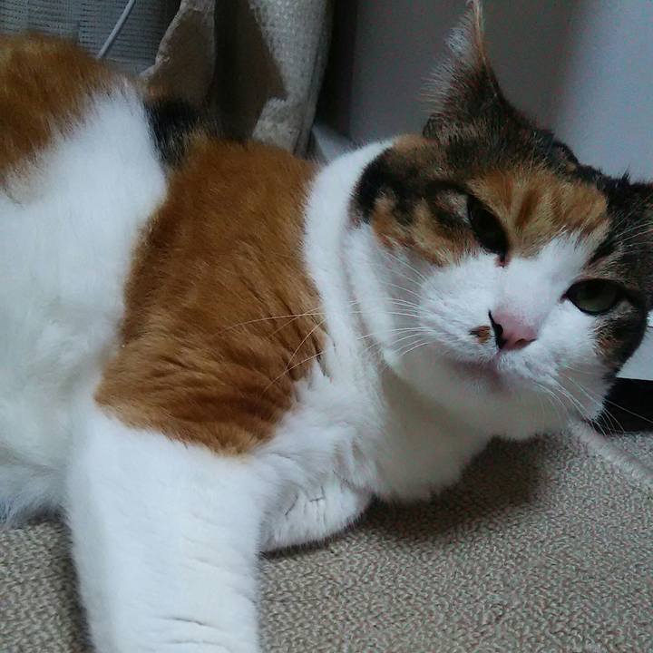 32f6c130 7744 4b97 bfaf 7acfacb8e4d6