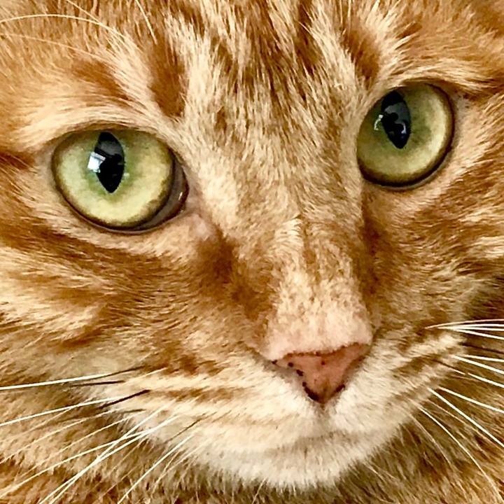 32f7b899 99a9 441d 8b0d 8b9fcab555bc