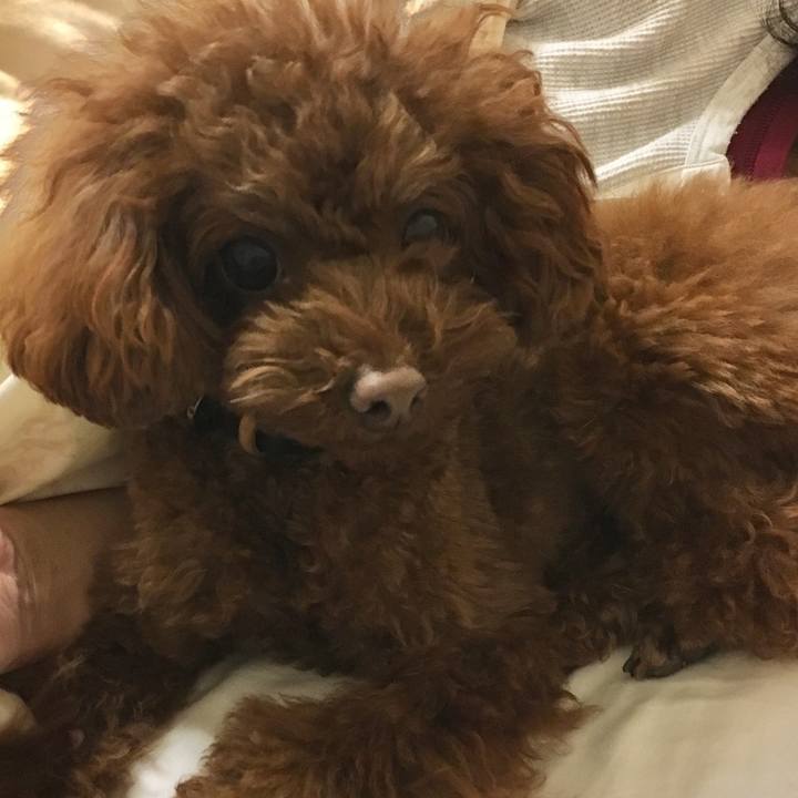 32f7ca93 70a1 4d31 b024 8dd8b1a6cec6