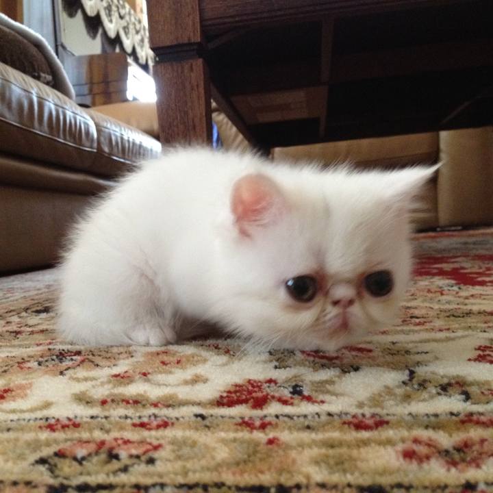 32f80495 15dc 493c b386 45439d59a547