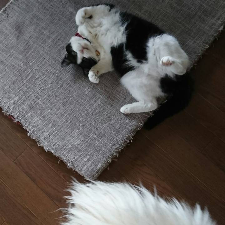 32f84158 f447 456b b306 9488f956e92e