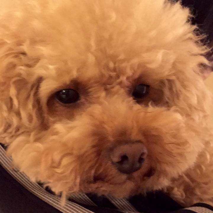 32f85003 9c3e 4952 aed0 b1134c69d4a7