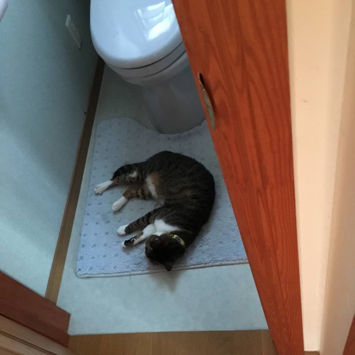 32f8b3fe 1e49 4f65 ab2f f0c37bf680ab