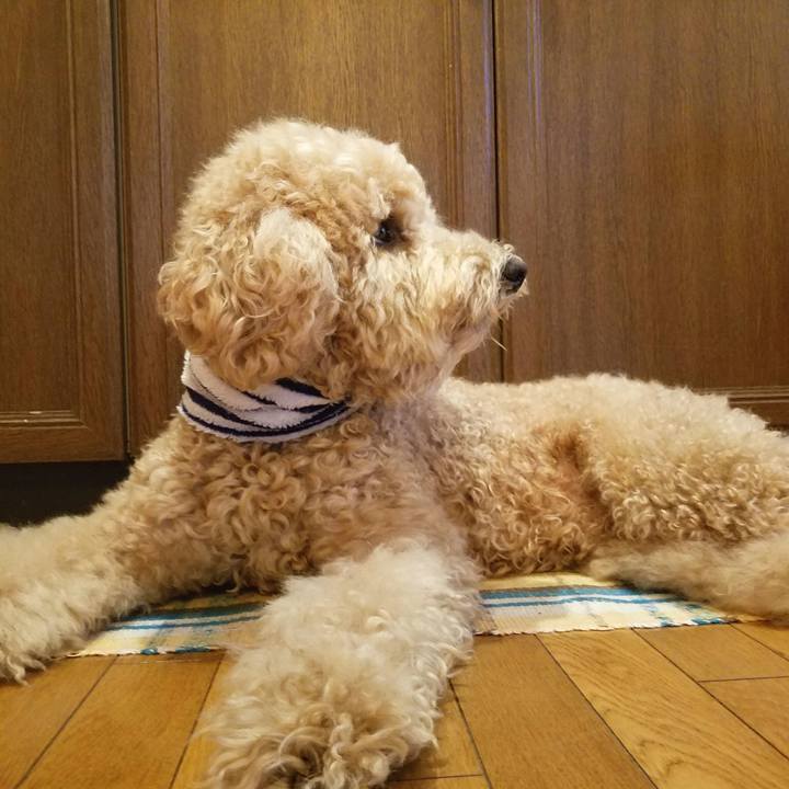 32f8beea 56d1 4a3c ad68 91cb29abe775