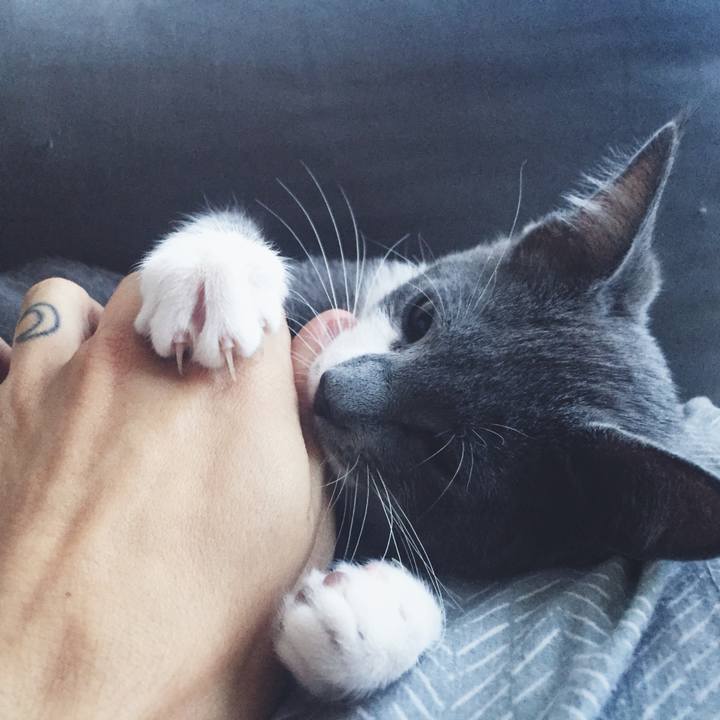 32f9b4fa e0c1 499c 9f17 4c305e9e3632