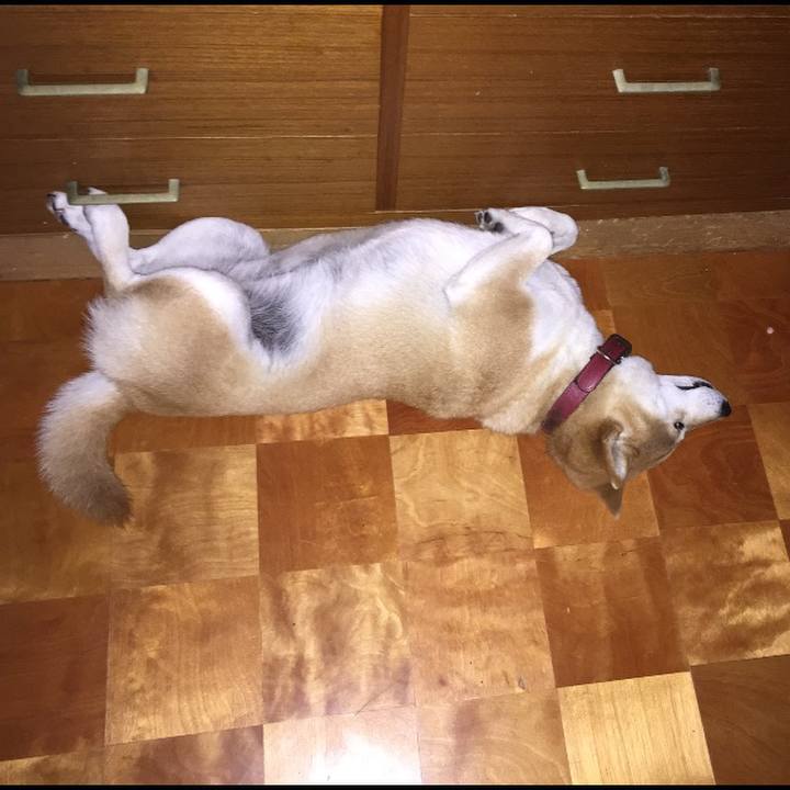 32fa6d52 1e36 4842 bb21 0ad472af1c4f