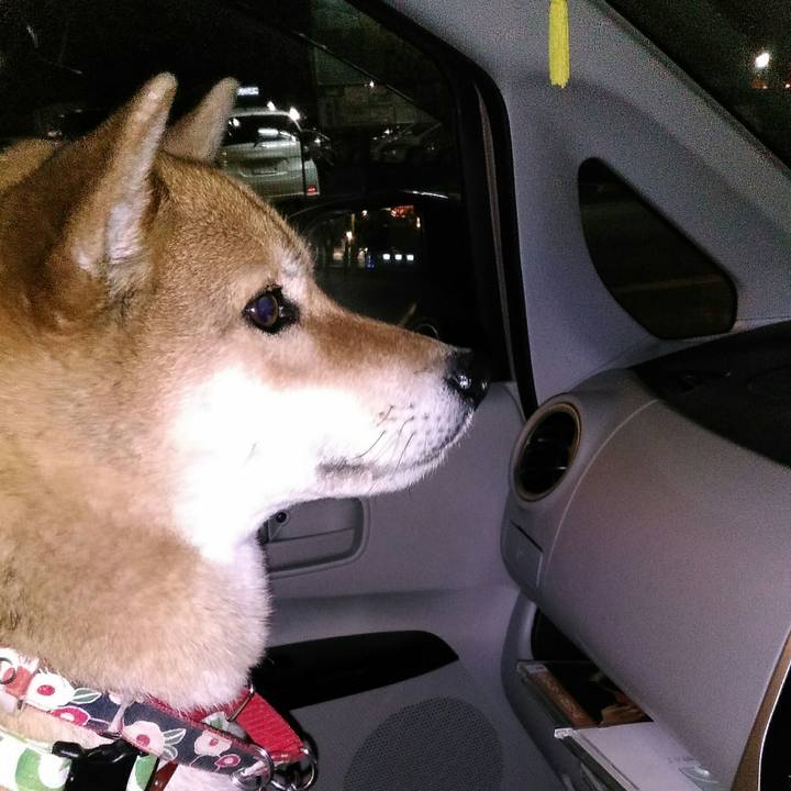 32fb38e7 1ba8 4baa a9db e4729e673f8e