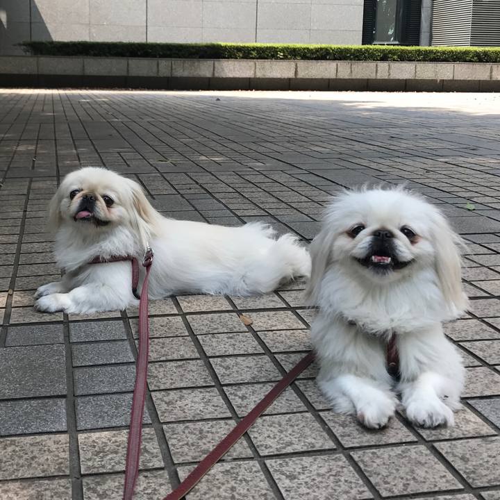 32fb6ef0 0765 4bb9 88a1 f4b69a31a22b