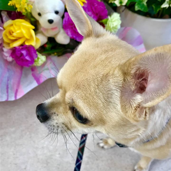 32fb80f2 3901 4e79 8242 dea8e238422c