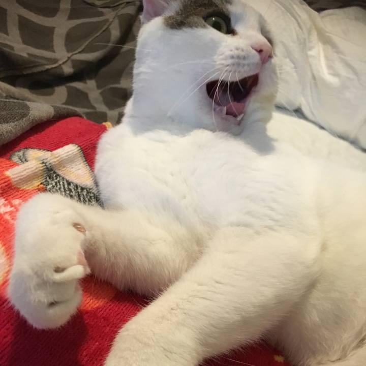 32fb8ce2 9931 47ed 80f8 cacff2d5eb76