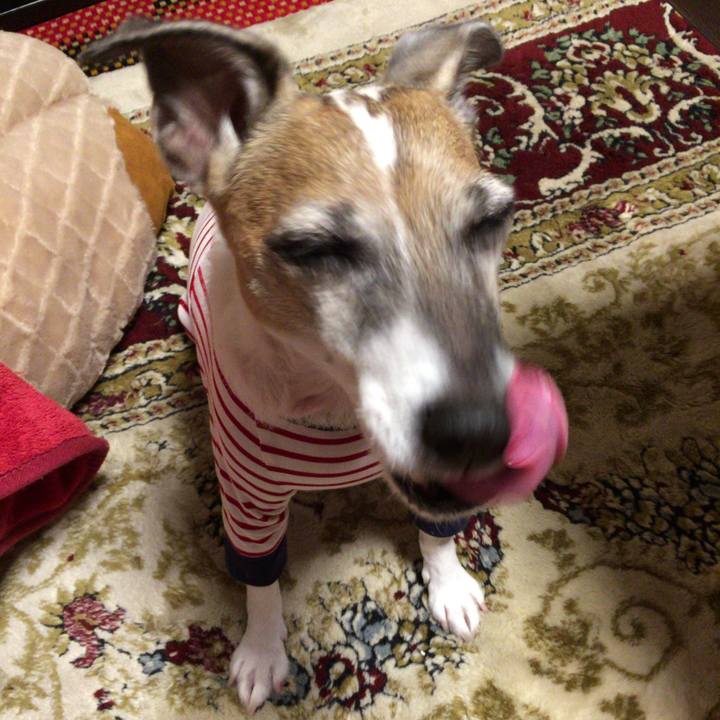 32fbfb4e 992a 44ad 9610 5a6d50d72fb5