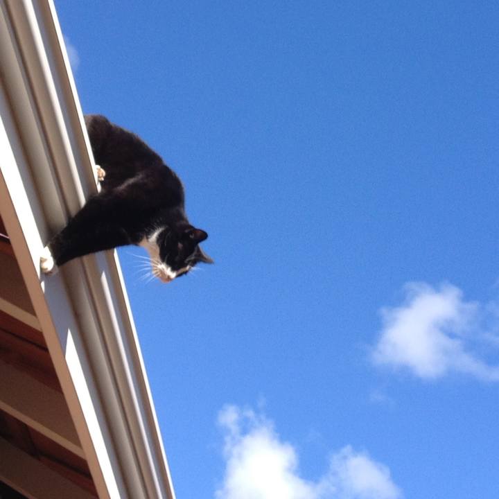 32fc182f 7986 4f11 86ed 7c5f6b014761