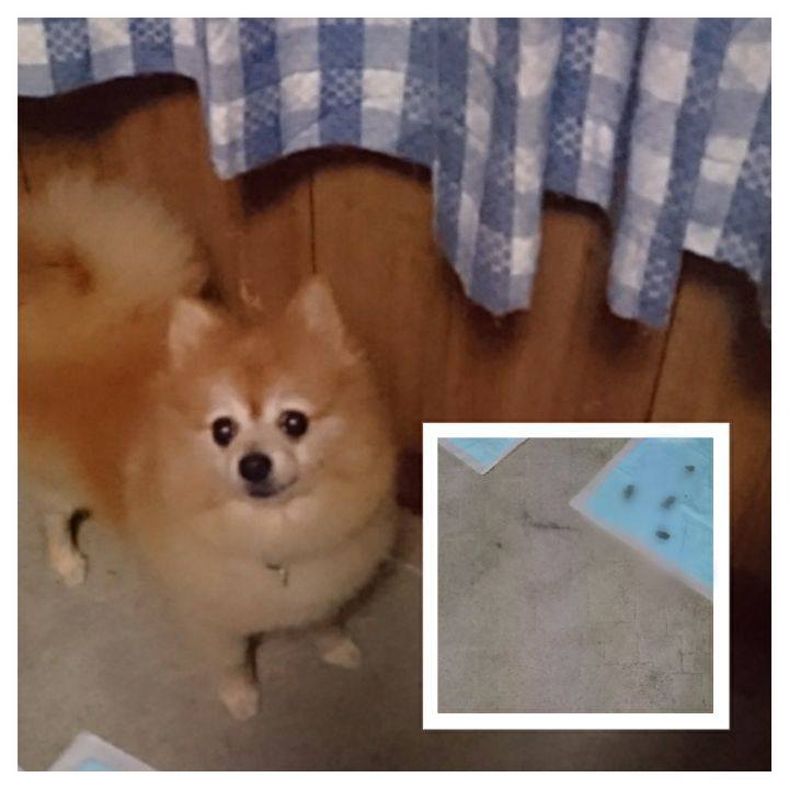 32fc21f6 d46b 4fa2 bbcc 1b58de164b02