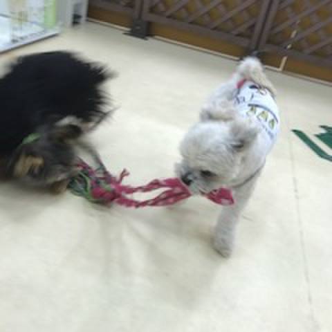 32fedf1a 8893 41c6 8659 8c8bc52515d5