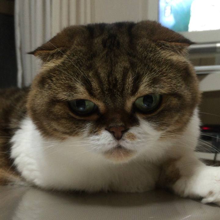 32ff3675 aeee 4990 acb8 6c42a520e97d