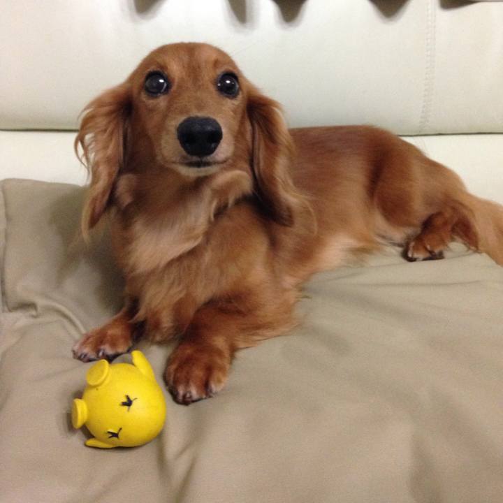 32ffc144 d438 4427 b940 97eec144ff6a