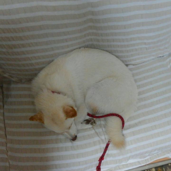 32ffdb4e 3c7e 46c0 82ff 60f861e172d2