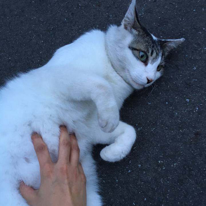 33000e34 e9e3 4d6b 8a43 990102a459f6