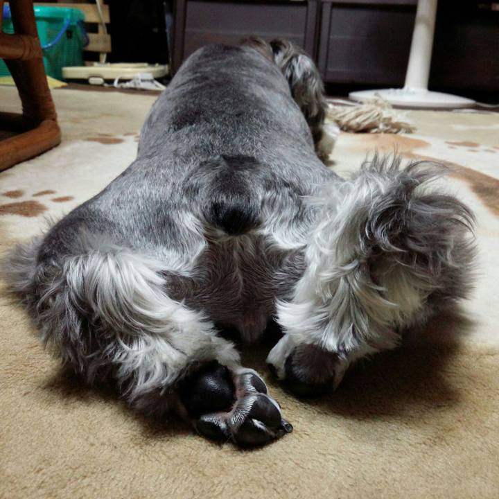 3300136c 0c21 4d54 a111 9fa683c60467