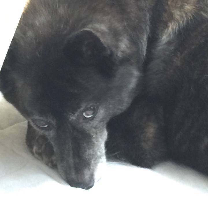 33002134 12e8 40a5 8b86 125f3879526b