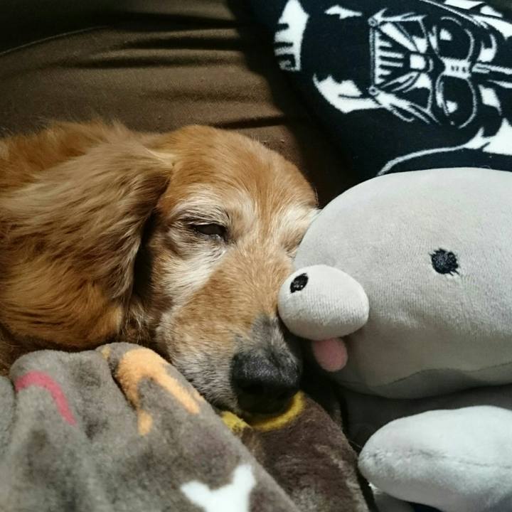 33007732 f3dd 452f bd63 1d7ee58bee29