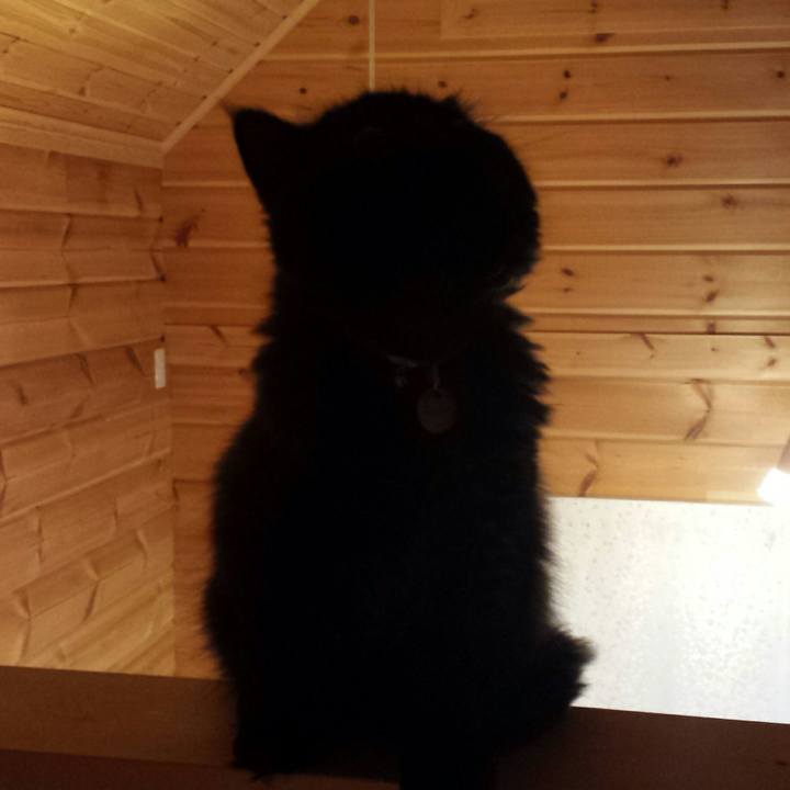 33012f61 6d9c 4dd2 aaf5 7e61b28034f1