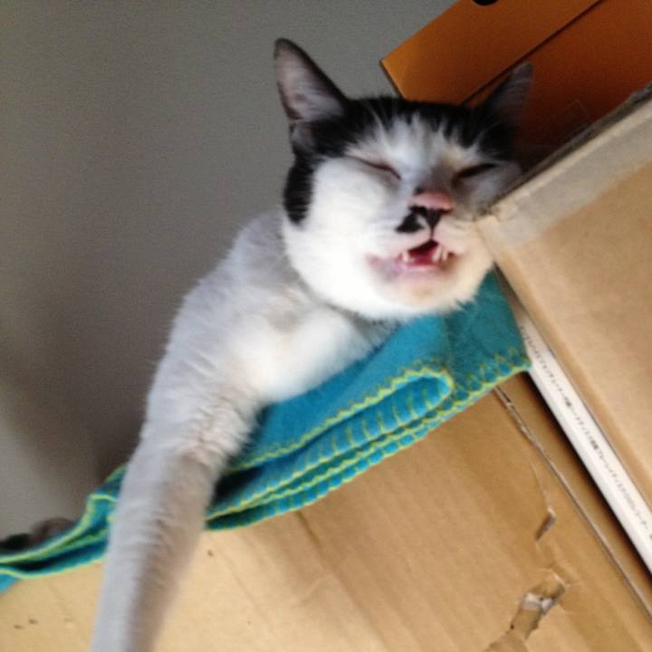 33017d8a 764b 460a 80c0 c782e0ce73e2