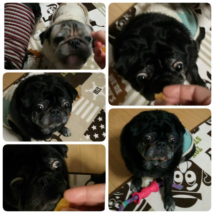 33018eda 334d 4f66 a797 0bb56574ff9e