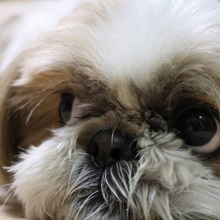 33019186 f55e 4b65 89b2 6dad9db4fb30