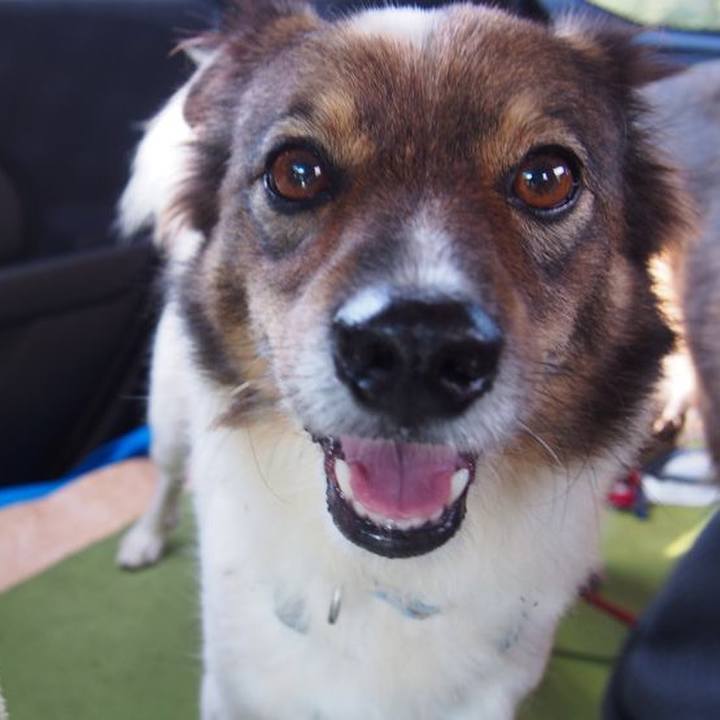 3301c3d6 864e 4436 aaf0 9a019a94b9d4