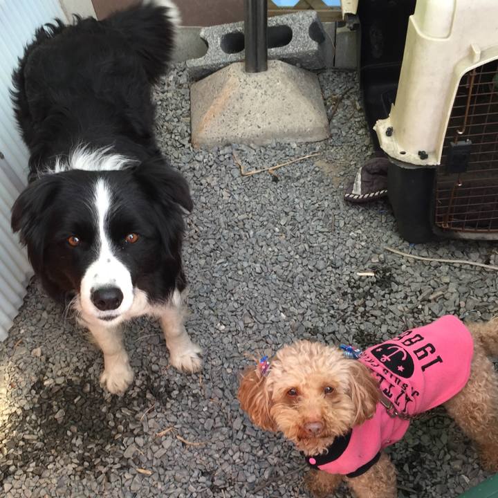 3301e5f7 132d 4e89 8b67 c9b88373844f