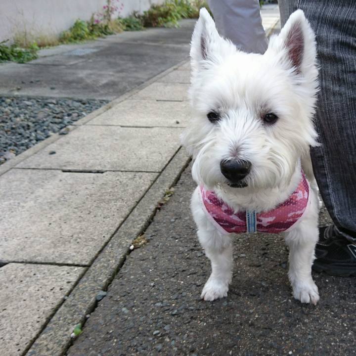 3301fa66 57fc 4659 9048 688c460c21f0