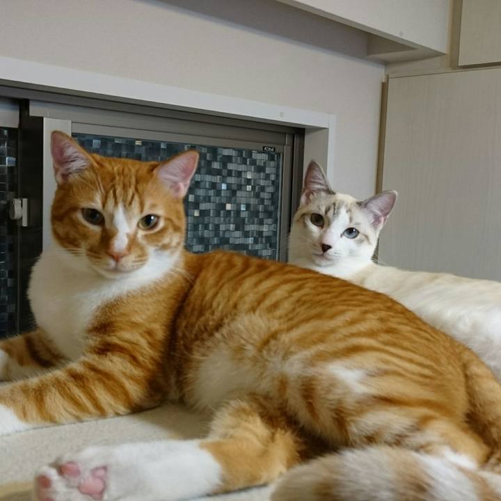 33022515 c61c 496e 83f6 c4860b86453b