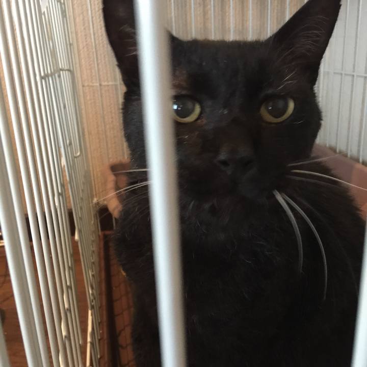 3302c975 27fa 4611 8bf1 e64be0bd9c4b