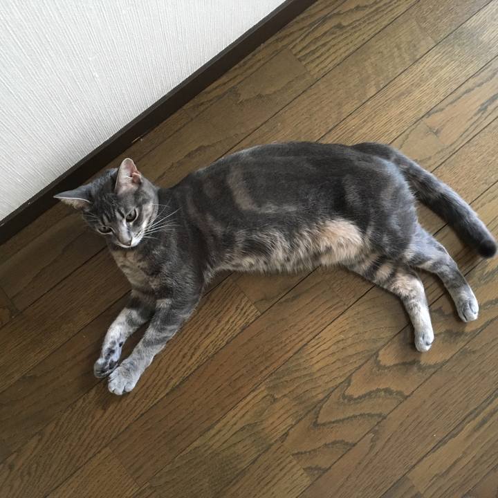 3303bfce e66e 4b5e aa4c 8da537642c8e